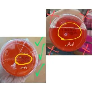 تفاوت تونر پرتقال خونی اصل و فیک