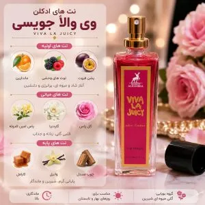 نت های بویایی ادکلن وی وا لا جویسی الحمبرا 35 میل