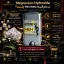 Magnesium Hydroxide روی Hero Man به چه معناست؟